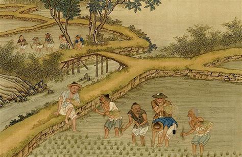  Knowing Your Peasants: A Journey Through Ancient Chinese Farming Wisdom